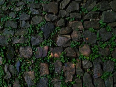 Een tuinverbouwing zonder zorgen begint met goed puinbeheer