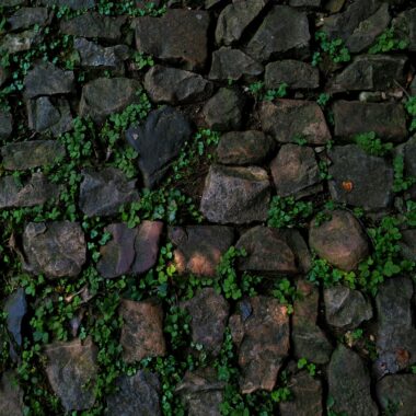 Een tuinverbouwing zonder zorgen begint met goed puinbeheer