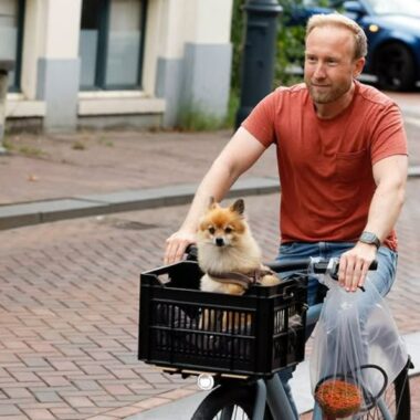 Wat is de relatiestatus van Raymond Mens