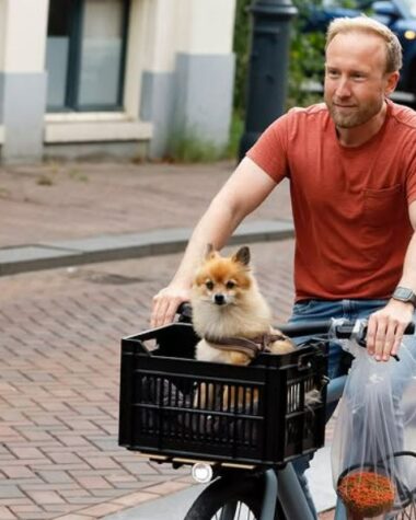 Wat is de relatiestatus van Raymond Mens