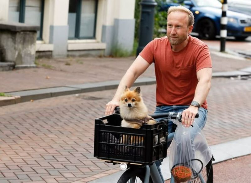 Wat is de relatiestatus van Raymond Mens